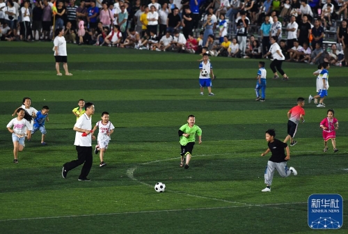 象棋职业棋手年度胜率排行